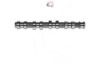 CAMPRO CP12249 Camshaft